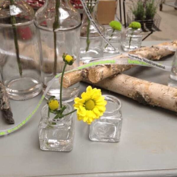 Vaser til ophæng i glas
