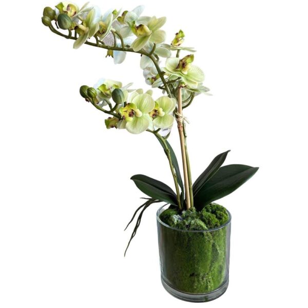 Kunstig orkide i lys grøn