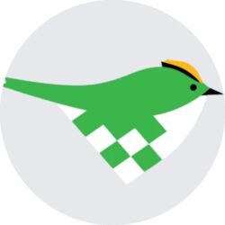 Flettede fugle - Fuglekonge
