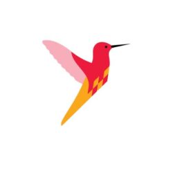 Flettede fugle - kolibri
